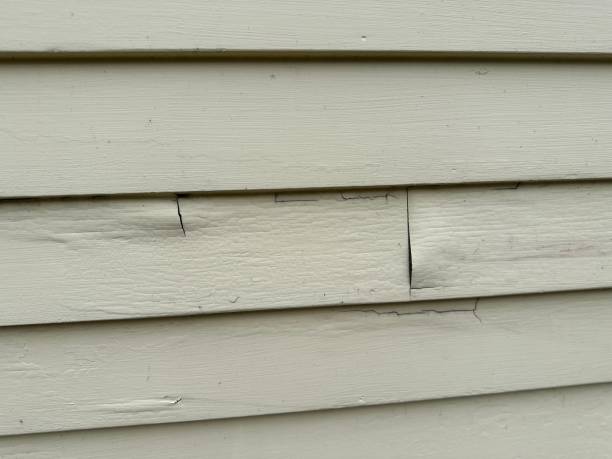 Siding Installation & Repair